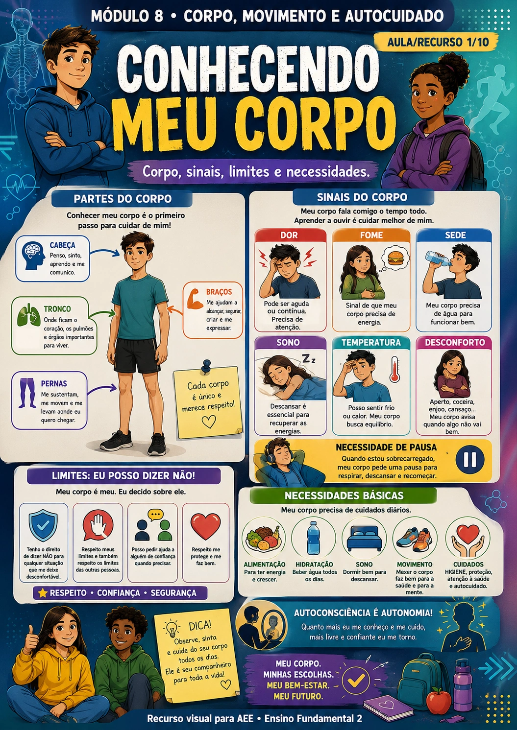Organizando Informações - Ensino Fundamental 2